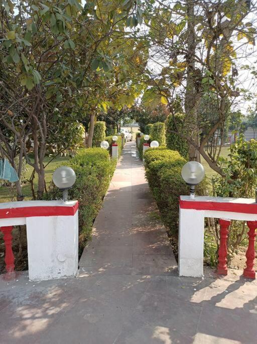 구르가온 Achal Farm जंगल में मंगल 빌라 외부 사진