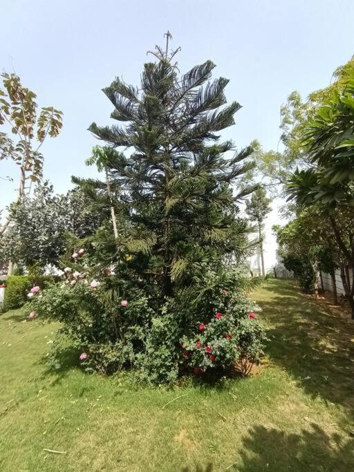 구르가온 Achal Farm जंगल में मंगल 빌라 외부 사진