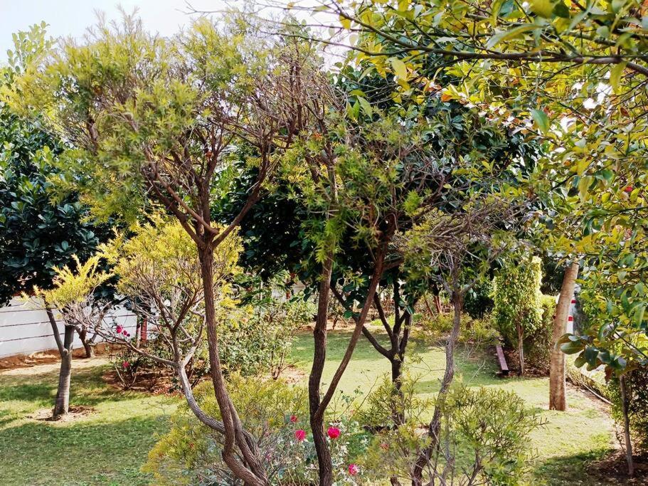 구르가온 Achal Farm जंगल में मंगल 빌라 외부 사진